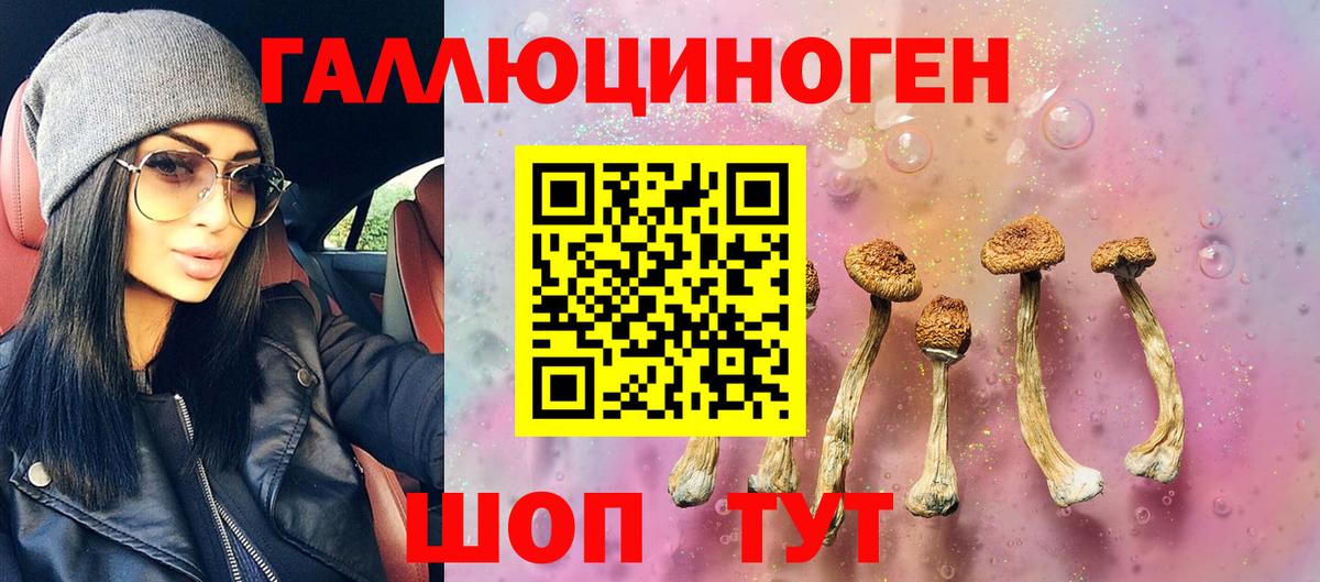 цена   Галлюциногенные грибы MAGIC MUSHROOMS  Вход с VPN  Топки 